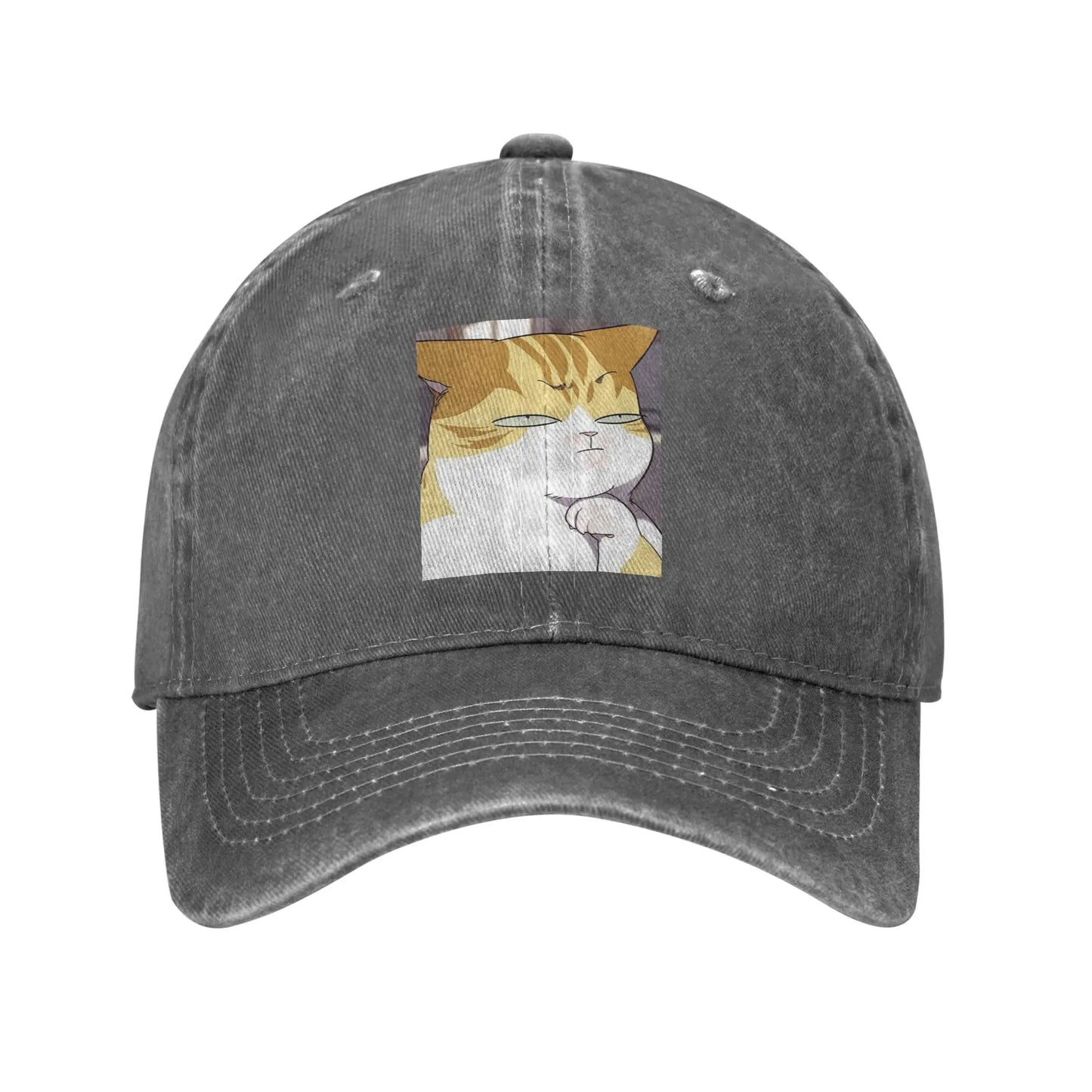 Eleceed Kayden Cat Form Denim Snapback Cap – Adjustable Unisex Baseball Cowboy Hat | Anime Streetwear Outdoor Hat