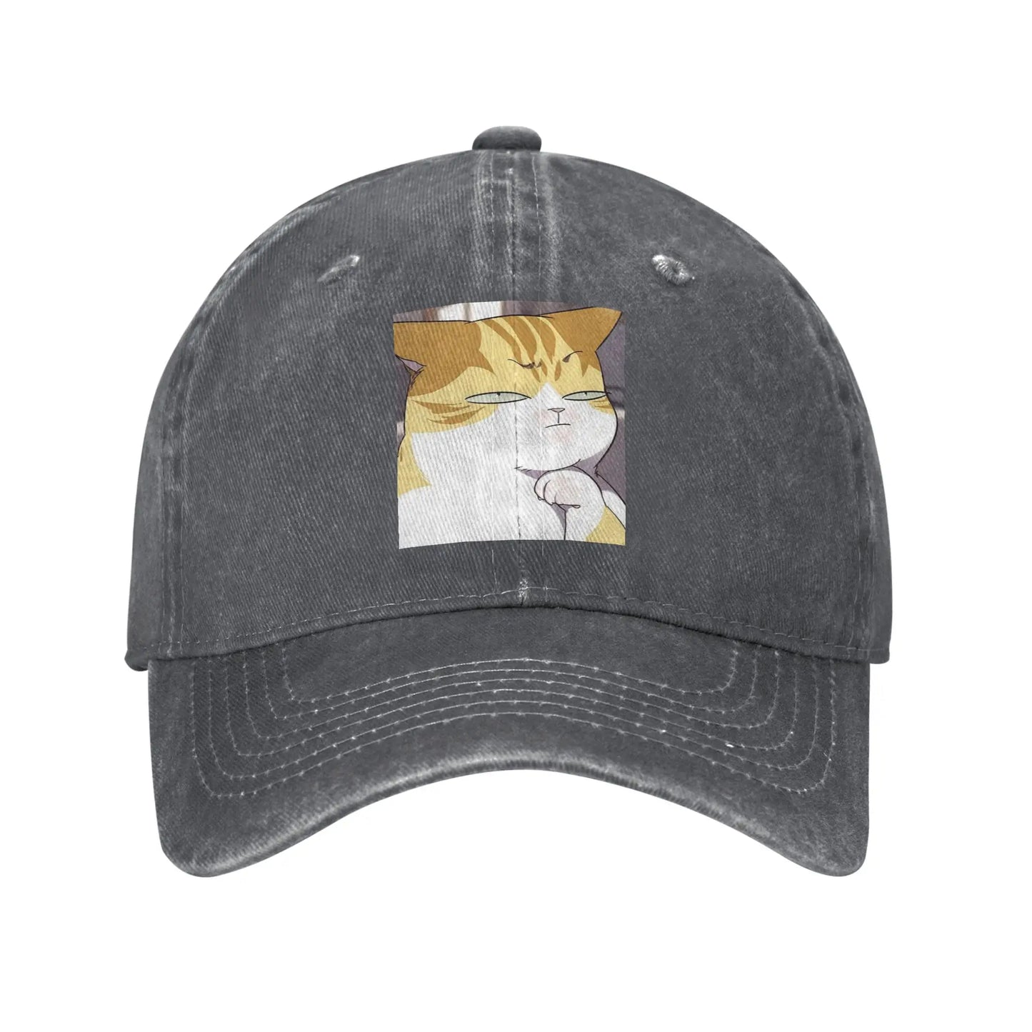 Eleceed Kayden Cat Form Denim Snapback Cap – Adjustable Unisex Baseball Cowboy Hat | Anime Streetwear Outdoor Hat