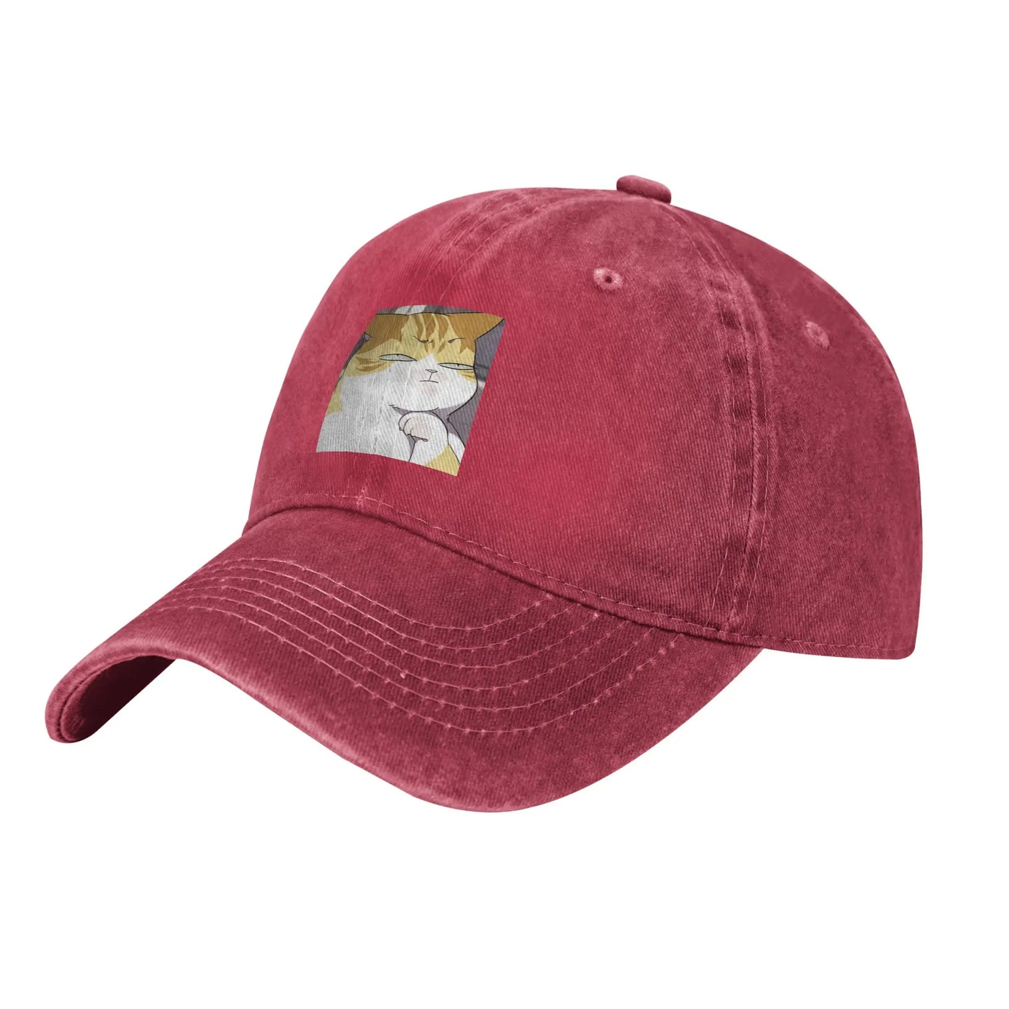 Eleceed Kayden Cat Form Denim Snapback Cap – Adjustable Unisex Baseball Cowboy Hat | Anime Streetwear Outdoor Hat